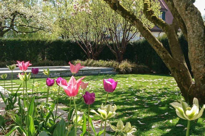 Garten mit blühenden Blumen