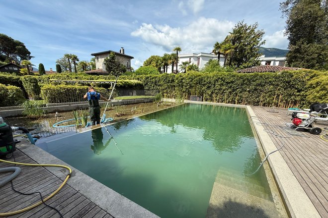Reinigung eines Schwimmteiches Reinigung eines Schwimmteiches